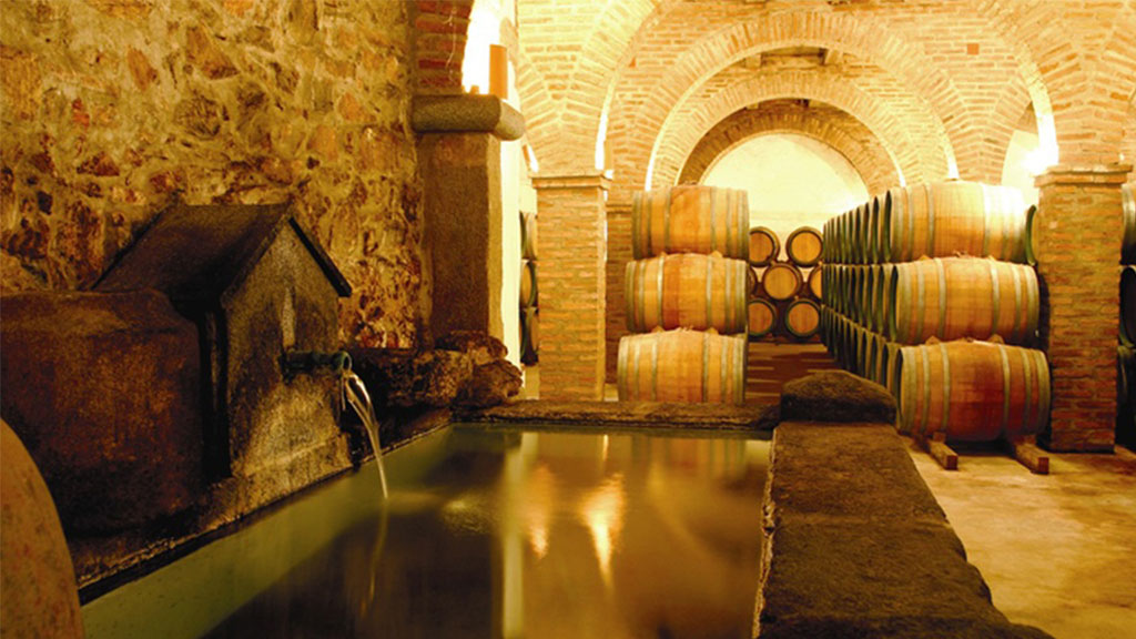 bodegas medina