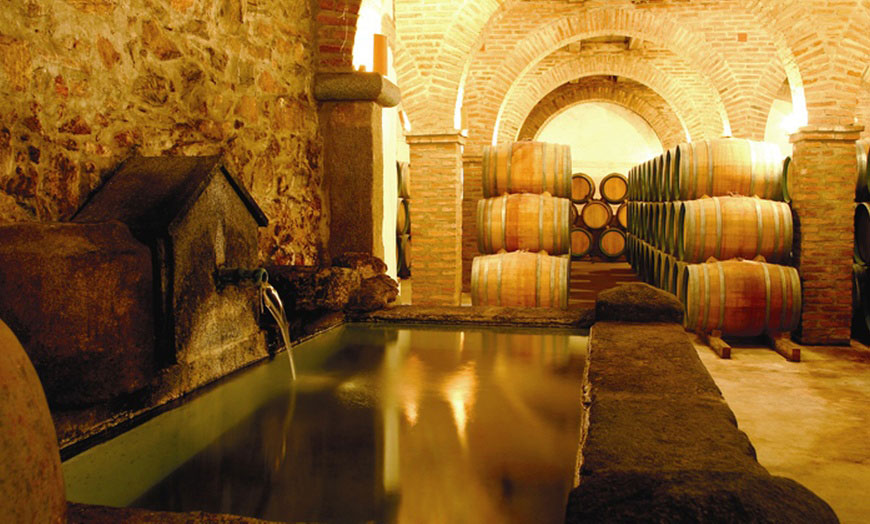 bodegas medina