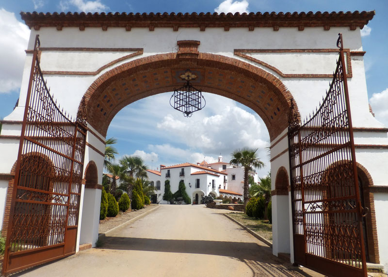 bodegas medina