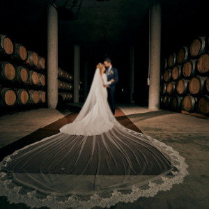 Bodegas Medina instalaciones